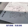 【有步骤、大彩图】李晓明工笔画白描底稿斗方小品《杨妃醉酒》牡丹初学者临摹花鸟线稿KD17 商品缩略图4