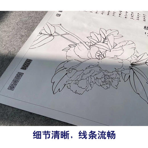 【有步骤、大彩图】李晓明工笔画白描底稿斗方小品《杨妃醉酒》牡丹初学者临摹花鸟线稿KD17 商品图4