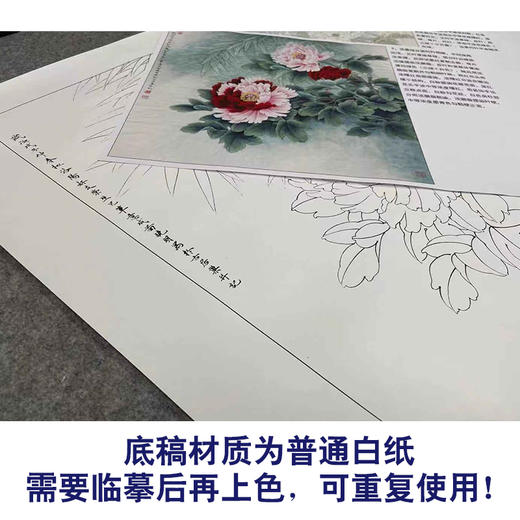 【有步骤、大彩图】李晓明工笔画白描底稿斗方小品《二乔》牡丹初学者临摹花鸟线稿KD29 商品图3