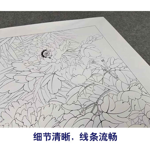 【有步骤、大彩图】李晓明工笔画白描底稿斗方小品《二乔》牡丹初学者临摹花鸟线稿KD29 商品图4