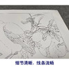 【有步骤、大彩图】李晓明工笔画白描底稿斗方小品《榴枝黄鸟图》石榴黄鹂初学者临摹花鸟线稿KC31 商品缩略图4