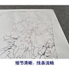 【有步骤、大彩图】李晓明工笔画白描底稿宫扇小品《玉板白》牡丹初学者临摹花鸟线稿KD10 商品缩略图4