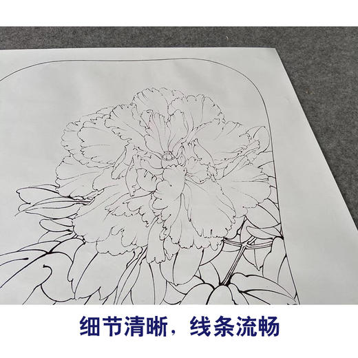 【有步骤、大彩图】李晓明工笔画白描底稿宫扇小品《玉板白》牡丹初学者临摹花鸟线稿KD10 商品图4