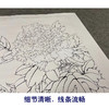 【有步骤、大彩图】李晓明工笔画白描底稿小品《花魁姚黄》牡丹初学者临摹花鸟线稿KD38 商品缩略图4