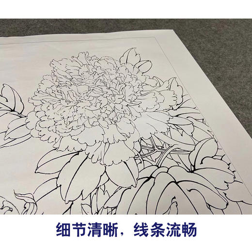 【有步骤、大彩图】李晓明工笔画白描底稿小品《花魁姚黄》牡丹初学者临摹花鸟线稿KD38 商品图4