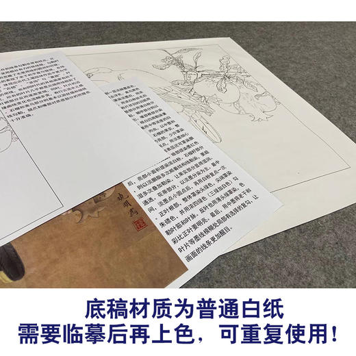 【有步骤、大彩图】李晓明工笔画白描底稿斗方小品《榴枝黄鸟图》石榴黄鹂初学者临摹花鸟线稿KC31 商品图3