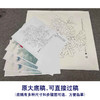【有步骤、大彩图】李晓明工笔画白描底稿斗方小品《江东双娇》牡丹初学者临摹花鸟线稿KD26 商品缩略图1