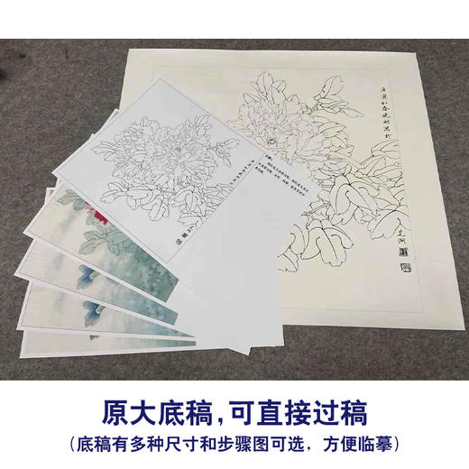 【有步骤、大彩图】李晓明工笔画白描底稿斗方小品《江东双娇》牡丹初学者临摹花鸟线稿KD26 商品图1
