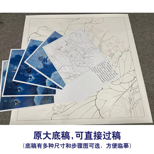 【有步骤、大彩图】李晓明工笔画白描底稿斗方小品《白荷蓝翠图》荷花翠鸟初学者临摹花鸟线稿KE03 商品图1