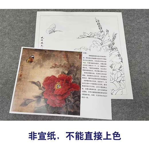 【有步骤、大彩图】李晓明工笔画白描底稿斗方小品《灿若云霞》牡丹蝴蝶初学者临摹花鸟线稿KD27 商品图2
