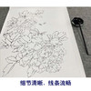 【有步骤、大彩图】李晓明工笔画白描底稿《娇娥粉黛》牡丹初学者临摹花鸟线稿KD13 商品缩略图4