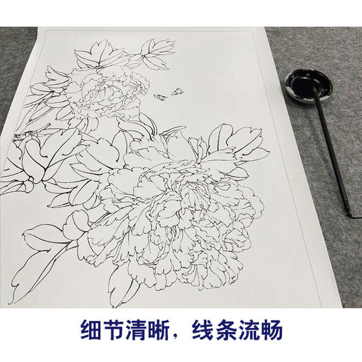 【有步骤、大彩图】李晓明工笔画白描底稿《娇娥粉黛》牡丹初学者临摹花鸟线稿KD13 商品图4