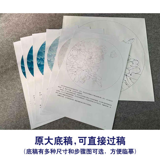 【有步骤、大彩图】李晓明工笔画白描底稿圆形小品《牡丹蛱蝶图》牡丹初学者临摹花鸟线稿KD02 商品图1
