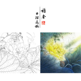【有步骤、大彩图】李晓明工笔画白描底稿斗方小品《金莲》荷花初学者临摹花鸟线稿KE10