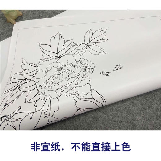 【有步骤、大彩图】李晓明工笔画白描底稿《娇娥粉黛》牡丹初学者临摹花鸟线稿KD13 商品图2