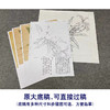 【有步骤、大彩图】李晓明工笔画白描底稿斗方小品《枇杷绣眼图》初学者临摹花鸟线稿KC34 商品缩略图1
