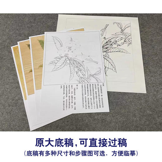 【有步骤、大彩图】李晓明工笔画白描底稿斗方小品《枇杷绣眼图》初学者临摹花鸟线稿KC34 商品图1