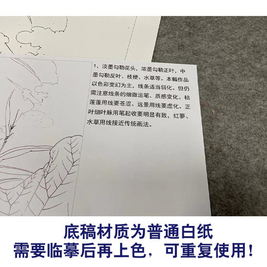 【有步骤、大彩图】李晓明工笔画白描底稿斗方小品《金莲》荷花初学者临摹花鸟线稿KE10 商品图3