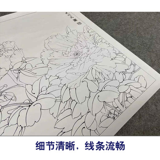 【有步骤、大彩图】李晓明工笔画白描底稿斗方小品《飞艳红妆》牡丹初学者临摹花鸟线稿KD28 商品图4