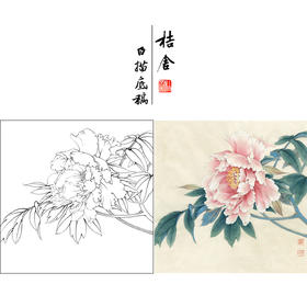 【有步骤、大彩图】李晓明工笔画白描底稿斗方小品《牡丹洛阳春》牡丹初学者临摹花鸟线稿KD31