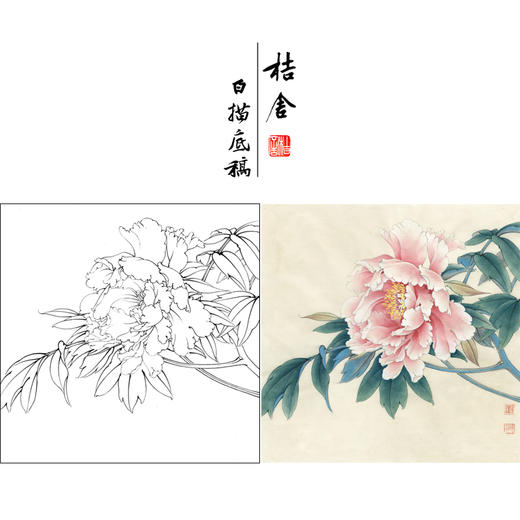 【有步骤、大彩图】李晓明工笔画白描底稿斗方小品《牡丹洛阳春》牡丹初学者临摹花鸟线稿KD31 商品图0