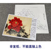 【有步骤、大彩图】李晓明工笔画白描底稿斗方小品《状元红》牡丹初学者临摹花鸟线稿KD45 商品缩略图2