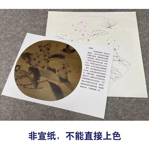 【有步骤、大彩图】李晓明工笔画白描底稿圆形小品《临宋枇杷山鸟图》枇杷蝴蝶初学者临摹花鸟线稿KC33 商品图2