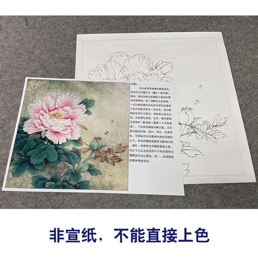 【有步骤、大彩图】李晓明工笔画白描底稿斗方小品《赛珠盘》牡丹初学者临摹花鸟线稿KD33 商品图2