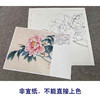 【有步骤、大彩图】李晓明工笔画白描底稿斗方小品《牡丹洛阳春》牡丹初学者临摹花鸟线稿KD31 商品缩略图2