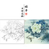 【有步骤、大彩图】李晓明工笔画白描底稿斗方小品《富贵白头》牡丹初学者临摹花鸟线稿KD30 商品缩略图0
