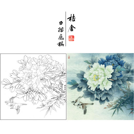 【有步骤、大彩图】李晓明工笔画白描底稿斗方小品《富贵白头》牡丹初学者临摹花鸟线稿KD30 商品图0