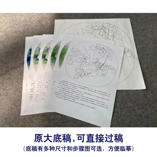 【有步骤、大彩图】李晓明工笔画白描底稿圆形小品《孩儿面》牡丹初学者临摹花鸟线稿KD04 商品图1