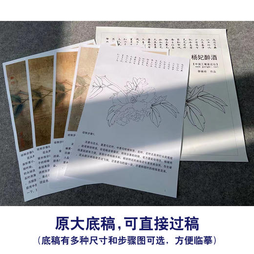 【有步骤、大彩图】李晓明工笔画白描底稿斗方小品《杨妃醉酒》牡丹初学者临摹花鸟线稿KD17 商品图1