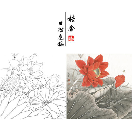 【有步骤、大彩图】李晓明工笔画白描底稿斗方小品《红荷艳阳天》红荷花初学者临摹花鸟线稿KE05 商品图0