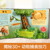 趣味科普立体书-掠食动物V3.1 原价99.8 商品缩略图2