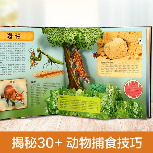 趣味科普立体书-掠食动物V3.1 原价99.8 商品图2