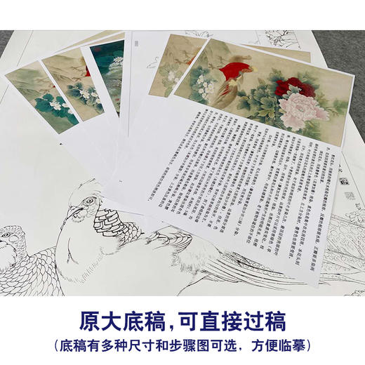 【有步骤、大彩图】李晓明工笔画白描底稿《锦鸡二乔图》牡丹初学者临摹花鸟线稿KD23 商品图1