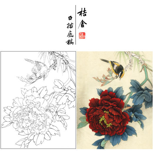 【有步骤、大彩图】李晓明工笔画白描底稿《五月王红》牡丹雀鸟初学者临摹花鸟线稿KD15 商品图0