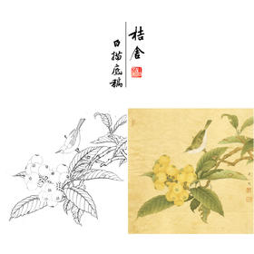 【有步骤、大彩图】李晓明工笔画白描底稿斗方小品《枇杷绣眼图》初学者临摹花鸟线稿KC34