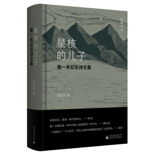 《星核的儿子：骆一禾纪念诗文集》陈东东 编 商品图0