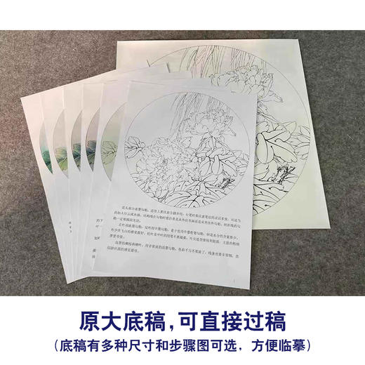 【有步骤、大彩图】李晓明工笔画白描底稿小品《二乔春色》牡丹初学者临摹花鸟线稿KD01 商品图1