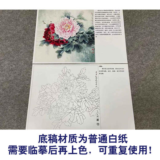 【有步骤、大彩图】李晓明工笔画白描底稿斗方小品《江东双娇》牡丹初学者临摹花鸟线稿KD26 商品图3