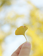  秋分后，做到这几点，冬天手不怕冷、少痛经！