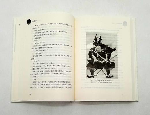 全景插图版：《丰臣秀吉》，精装 商品图9