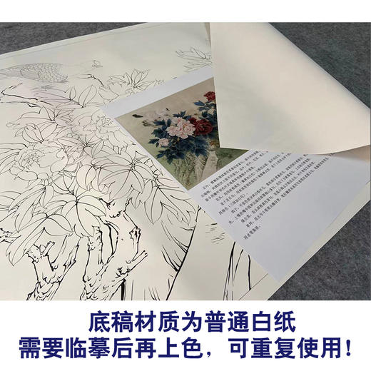 【有步骤、大彩图】工笔画白描底稿《春光明媚》牡丹花鸟线稿KG02 商品图3