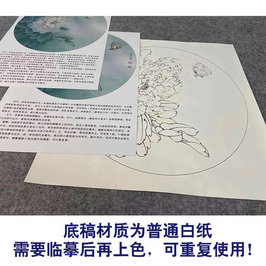 【有步骤、大彩图】李晓明工笔花鸟画白描底稿牡丹花小品《牡丹蛱蝶图》KG15 商品图3