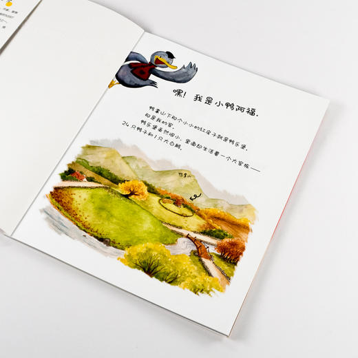 小鸭阿福的大家族（全6册） 商品图6