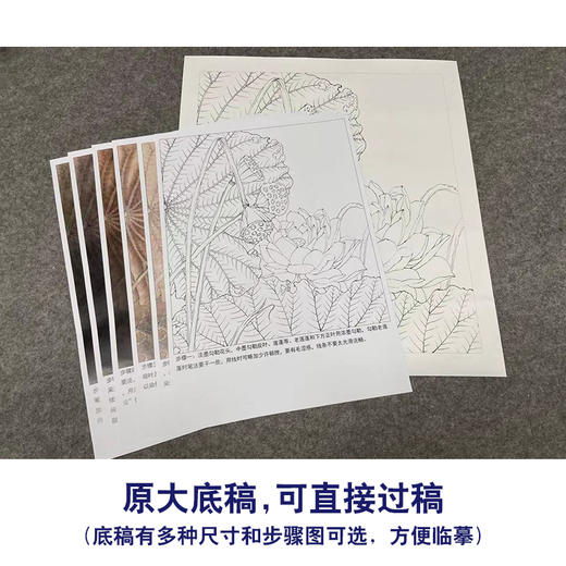 【有步骤、大彩图】李晓明工笔画白描底稿小品《亘古》荷花初学者临摹花鸟线稿KE16 商品图1