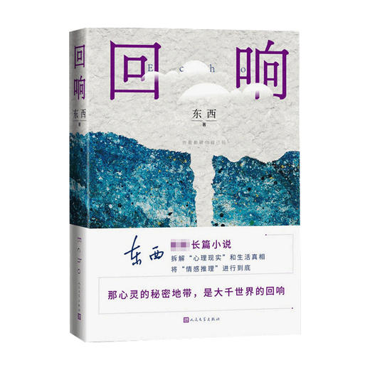 回响 东西著 中国现当代文学小说 鲁迅文学奖得主 悬疑情感推理 心灵与现实交互回响 善恶爱憎有呼应 商品图2