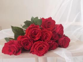 【周四秒杀】A级珍爱玫瑰10支69.8元